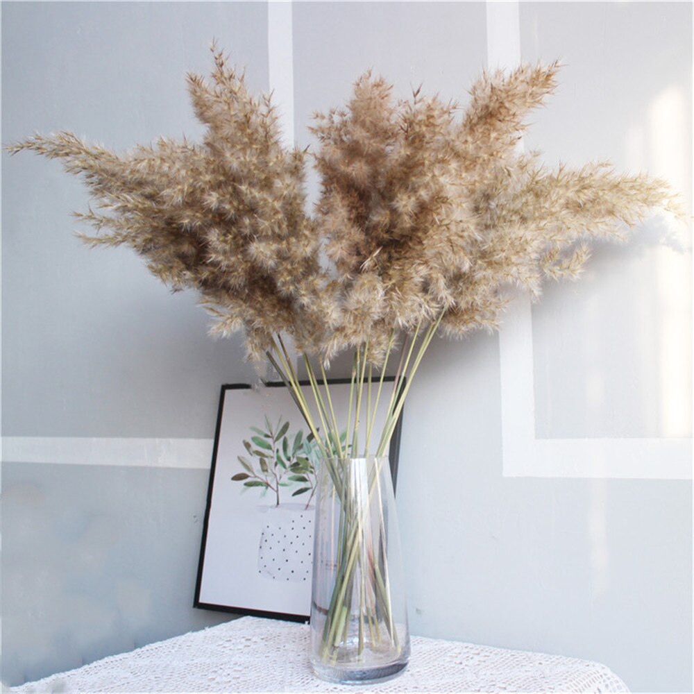 Pampas secas, decoración de hierba, ramo de flores de boda, plantas naturales para el hogar, decoraciones navideñas, regalo, flores secas