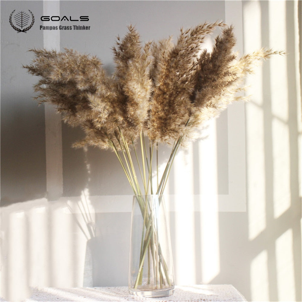 Pampas secas, decoración de hierba, ramo de flores de boda, plantas naturales para el hogar, decoraciones navideñas, regalo, flores secas