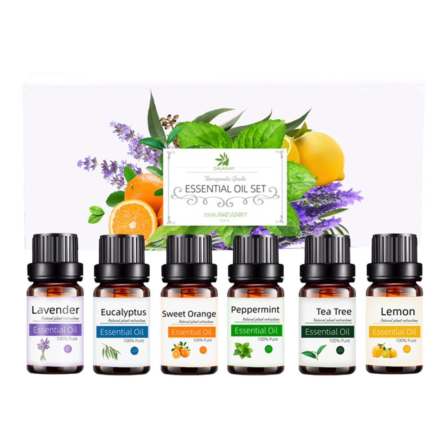 Juego de 6 uds de aceite esencial de lavanda, aceite aromático de plantas naturales, aceite de masaje corporal, aceite de lavanda, árbol de té, limón, naranja, eucalipto, menta