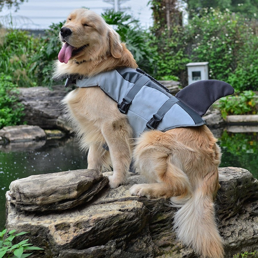 Gilet de sauvetage pour chien, vêtements, gilet de sauvetage, collier, harnais pour chien, maillot de bain d'été, sirène, requin, livraison directe