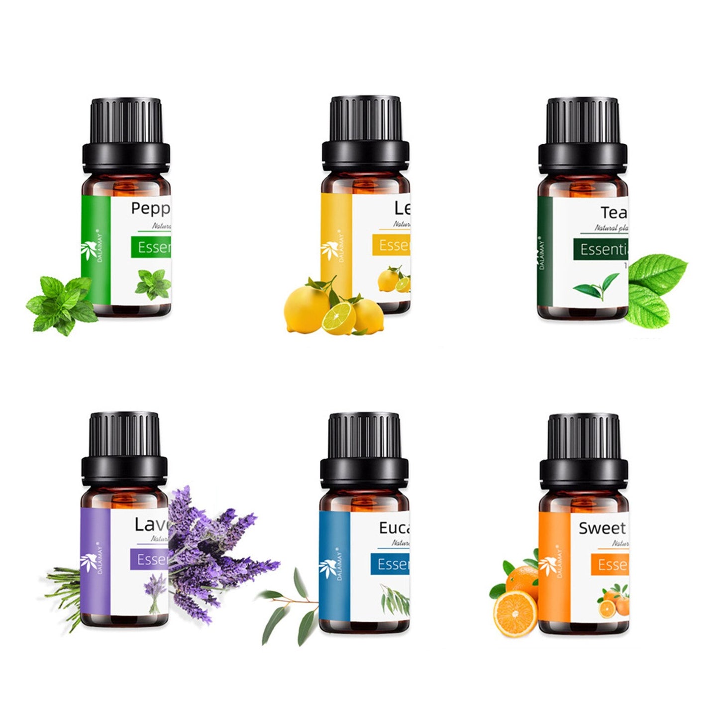 Juego de 6 uds de aceite esencial de lavanda, aceite aromático de plantas naturales, aceite de masaje corporal, aceite de lavanda, árbol de té, limón, naranja, eucalipto, menta