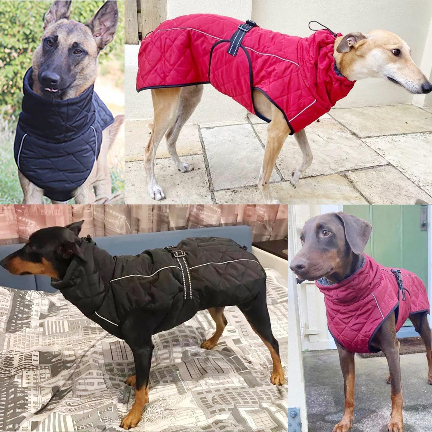 Chaqueta para exteriores para perros, abrigo reflectante impermeable para mascotas, chaleco de invierno cálido de algodón, ropa para perros grandes y medianos, Labrador