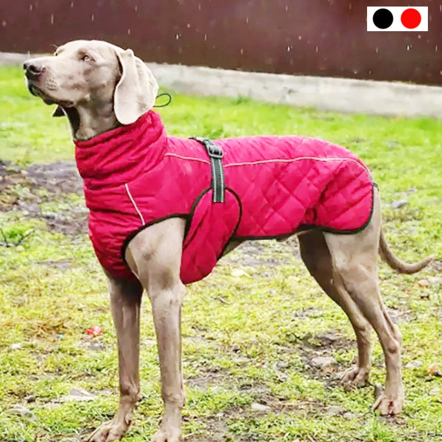 Veste d'extérieur imperméable et réfléchissante pour chien, manteau d'hiver chaud en coton, vêtements pour grands chiens moyens Labrador