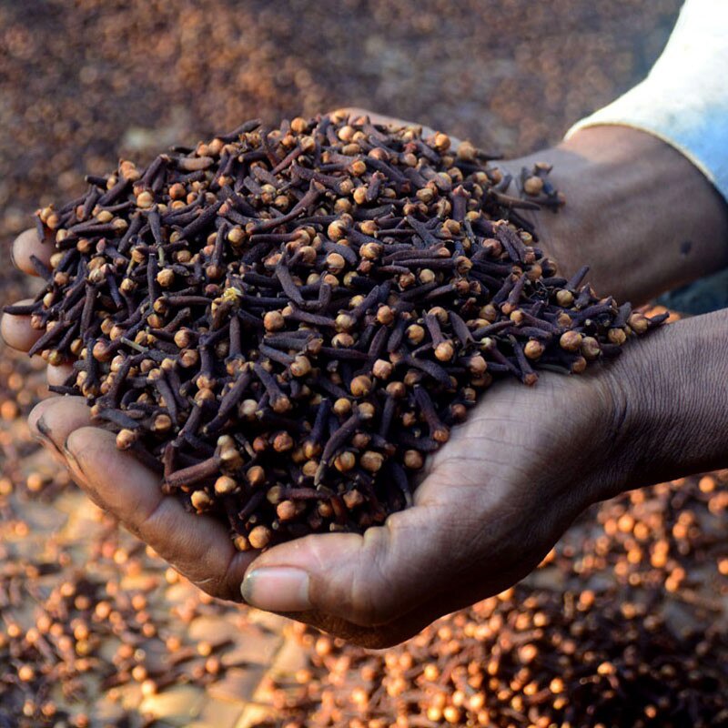 Produits de croissance de cheveux fous d'afrique, poudre de Traction alopécie Chebe, traitement contre la perte de cheveux, repousse vos bords, taches chauves, cheveux fins